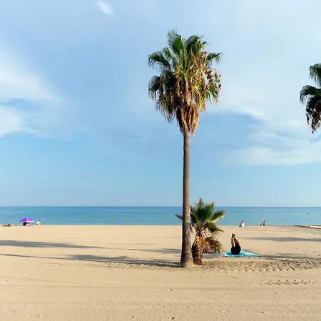 Apartment Location In Estepona