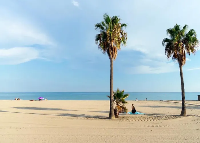 Apartamento Location In Estepona